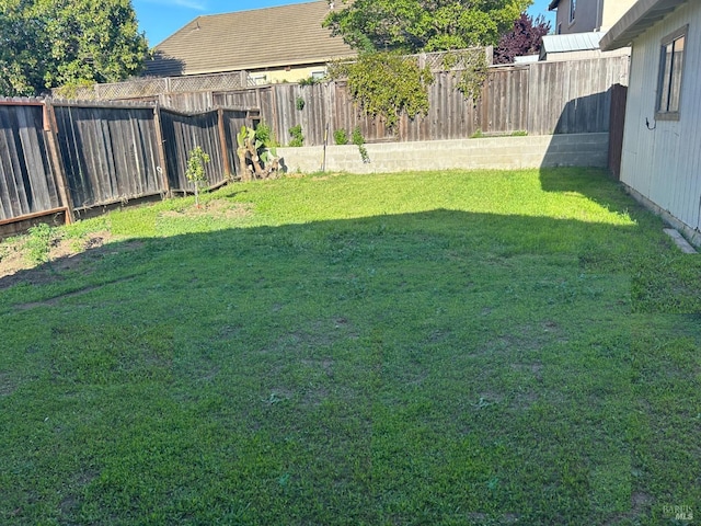 336 Hamilton Dr, Fairfield, CA 94533 - view of yard