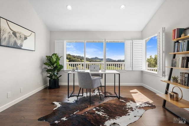 office space featuring plenty of natural light, baseboards, and wood finished floors