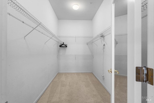 walk in closet with carpet