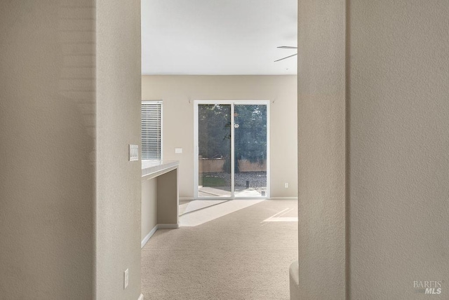 hallway featuring carpet
