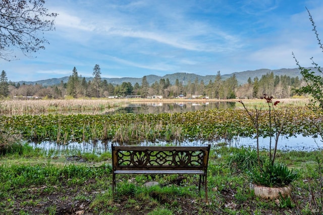view of home's community with a water and mountain view