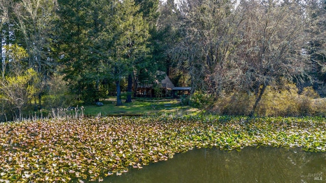 exterior space with a water view and a wooded view