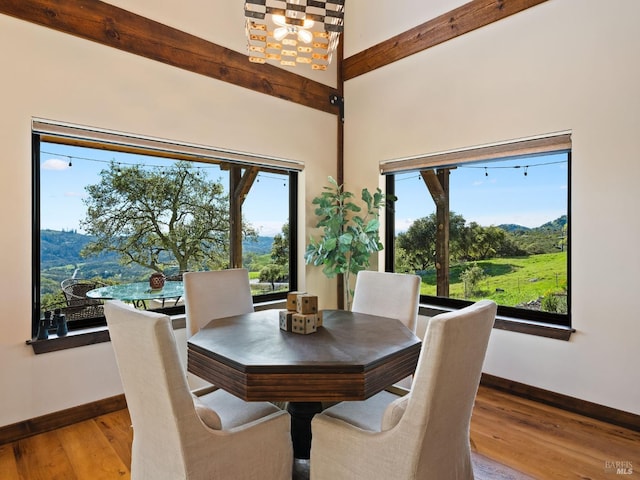 dining space featuring baseboards, a wealth of natural light, a chandelier, and wood finished floors