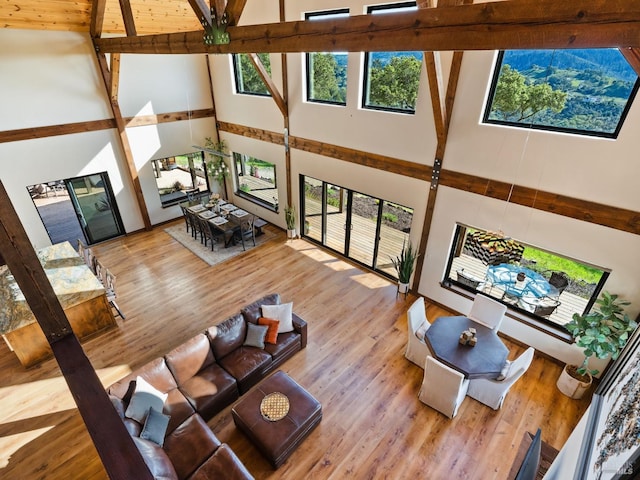 living area featuring wood finished floors and high vaulted ceiling
