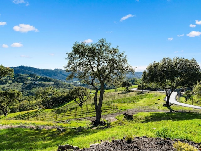 view of property's community featuring a mountain view, fence, and a rural view