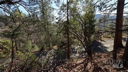 9652 Fox Dr, Cobb, CA 95426
