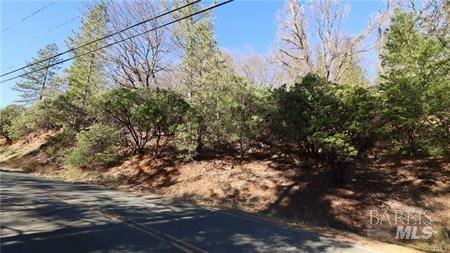 9652 Fox Dr, Cobb, CA 95426