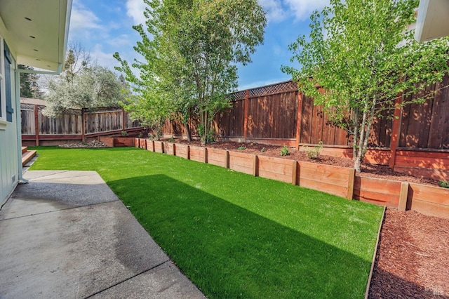 view of yard with a fenced backyard and a patio