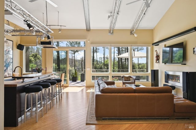 living room with rail lighting and hardwood / wood-style flooring