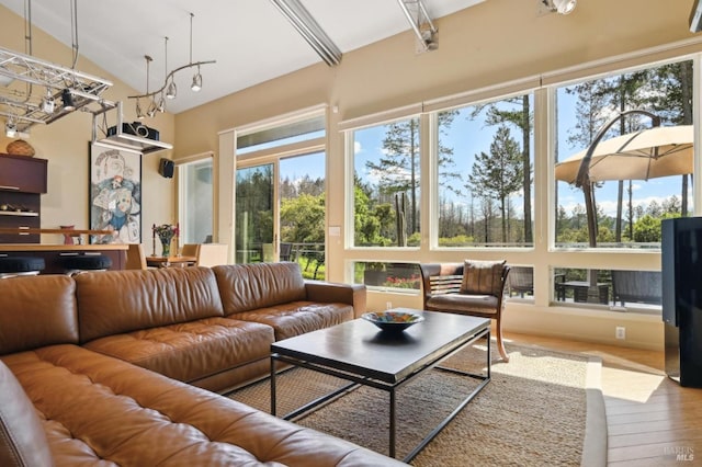 living area with plenty of natural light, hardwood / wood-style flooring, and lofted ceiling