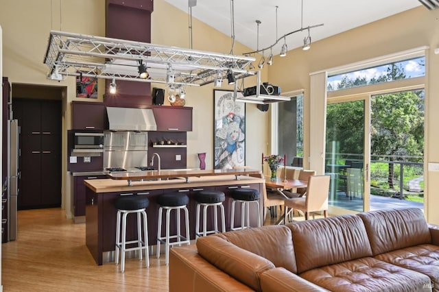 living room with light wood-style flooring and high vaulted ceiling