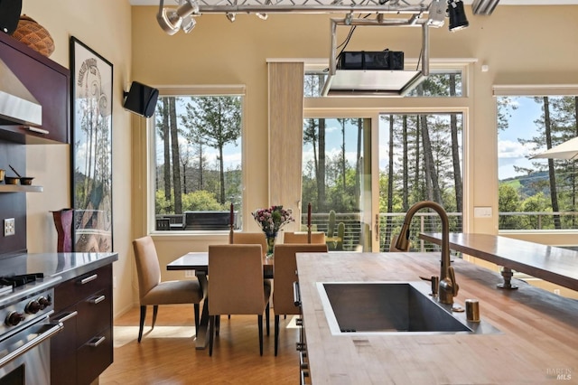 kitchen with a sink, light countertops, plenty of natural light, and wood finished floors