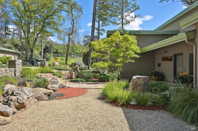 view of yard