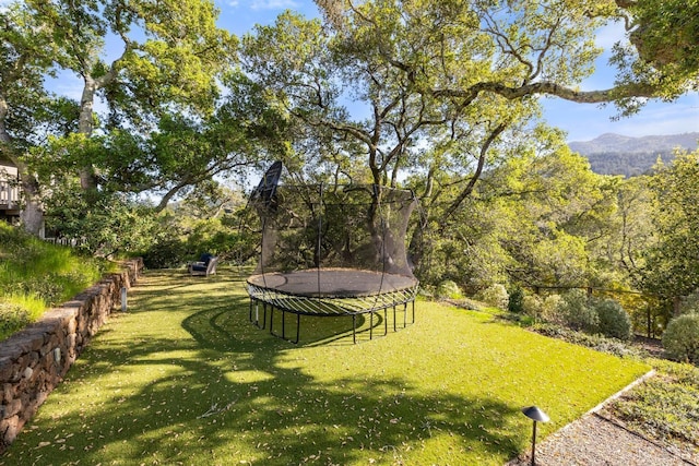 view of yard featuring a trampoline