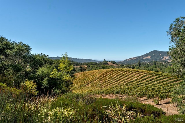 mountain view featuring a rural view