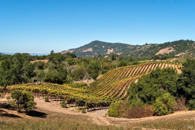 property view of mountains with a rural view