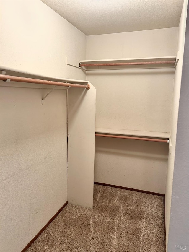261 Bridgewater Cir, Suisun City, CA 94585 - spacious closet with carpet floors
