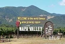 261 Bridgewater Cir, Suisun City, CA 94585 - view of mountain background