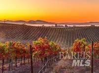 261 Bridgewater Cir, Suisun City, CA 94585 - view of community featuring agricultural plots and a view of countryside