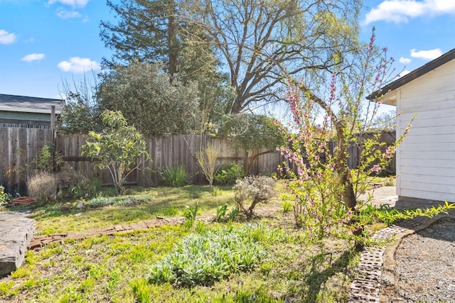view of yard with a fenced backyard