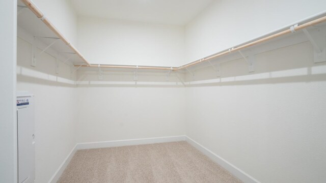 spacious closet with carpet floors