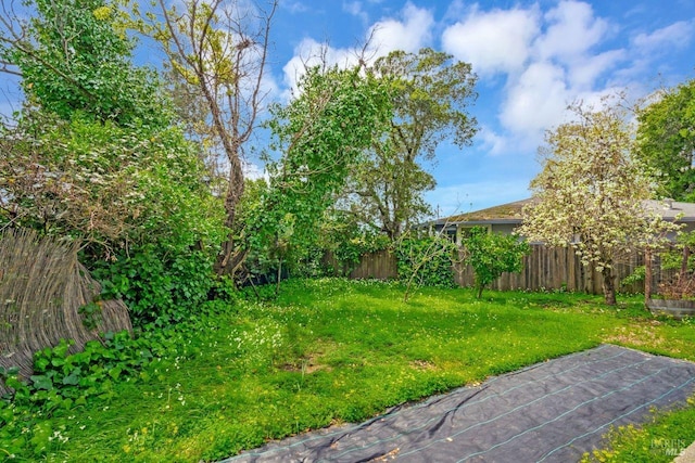 view of yard featuring a fenced backyard