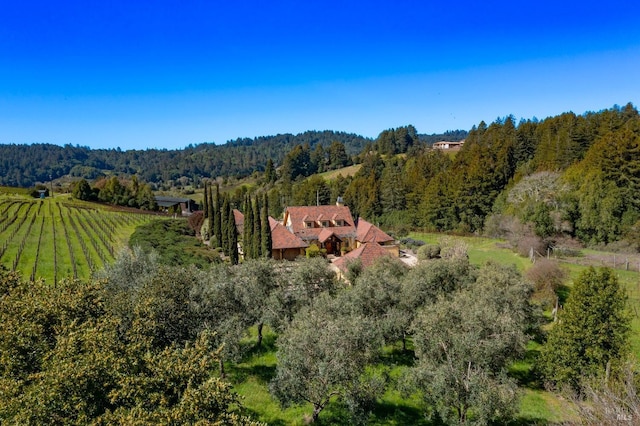 bird's eye view featuring a rural view and a forest view