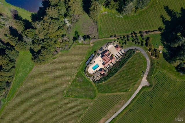 aerial view