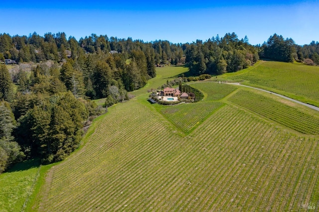 drone / aerial view with a rural view