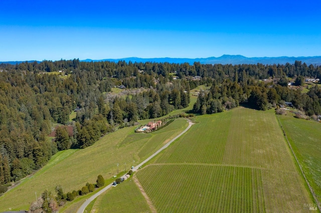 bird's eye view featuring a wooded view and a mountain view
