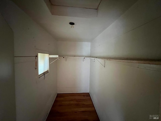 walk in closet with dark wood-type flooring