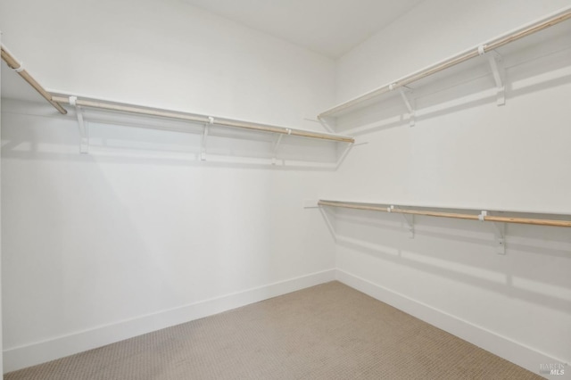 walk in closet with light colored carpet