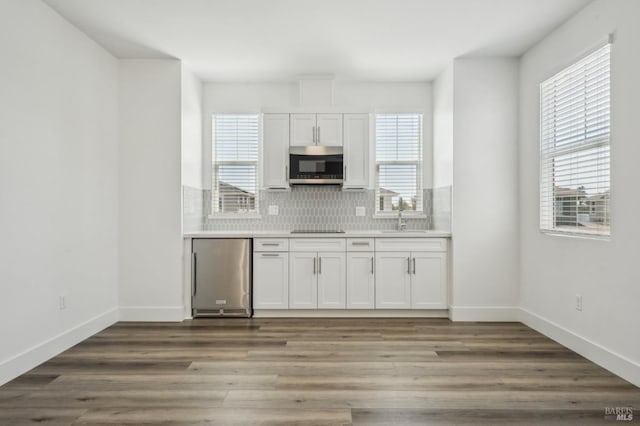 kitchen with tasteful backsplash, wood finished floors, a healthy amount of sunlight, and stainless steel appliances