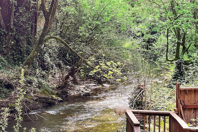 view of water feature with a wooded view