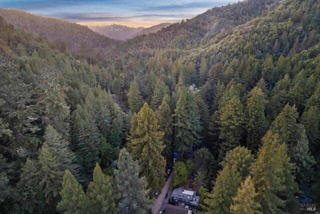 view of mountain feature with a forest view