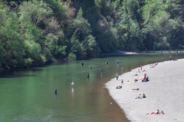 property view of water with a view of trees