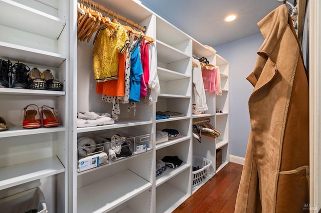 walk in closet featuring wood finished floors