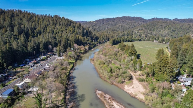 drone / aerial view with a wooded view and a water and mountain view