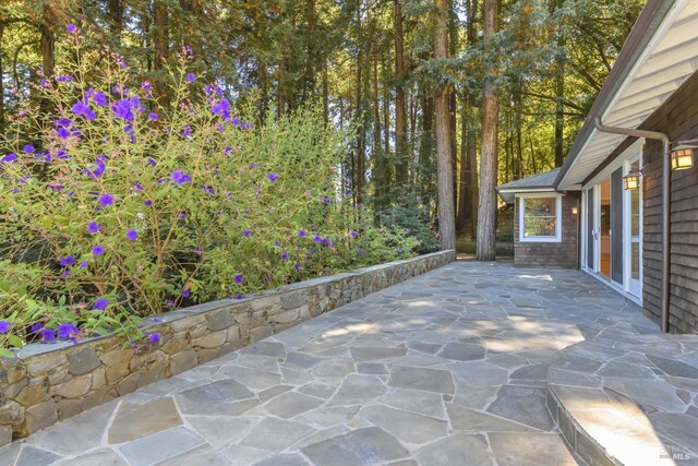 1065 Meadowsweet Dr, Corte Madera, CA 94925 - view of patio / terrace