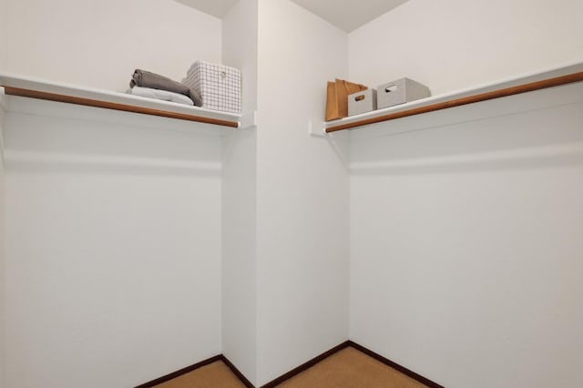 walk in closet featuring light colored carpet