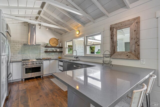 kitchen with high end range, a sink, dark wood-type flooring, tasteful backsplash, and a peninsula