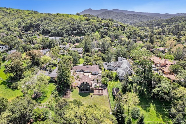 139 Deer Hollow Rd, San Anselmo, CA 94960 - drone / aerial view of a forest