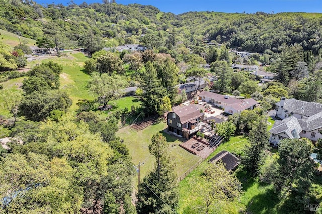 139 Deer Hollow Rd, San Anselmo, CA 94960 - drone / aerial view of a forest