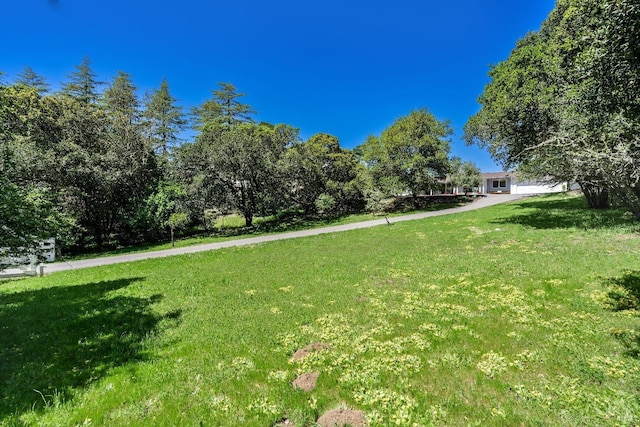 view of green lawn