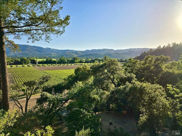 522 Meadowood Ln, Saint Helena, CA 94574 - view of mountain backdrop with rows of crops and rural landscape