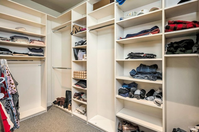 walk in closet with carpet flooring