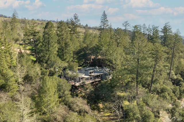 aerial view with a wooded view