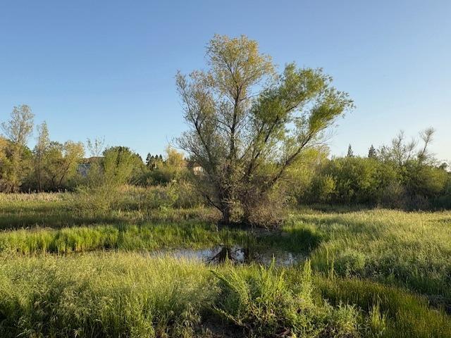 view of landscape