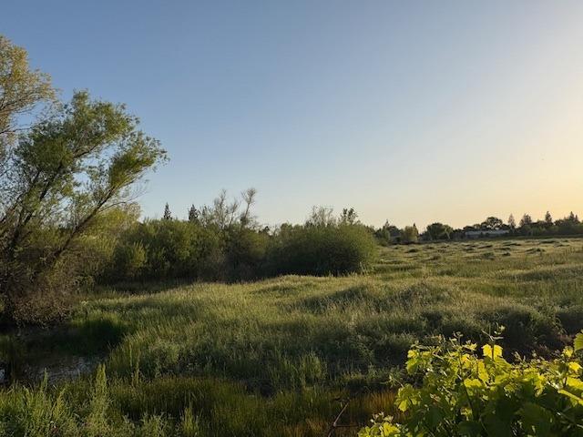 view of landscape