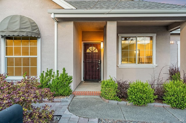 entrance to property featuring stucco siding and a shingled roof